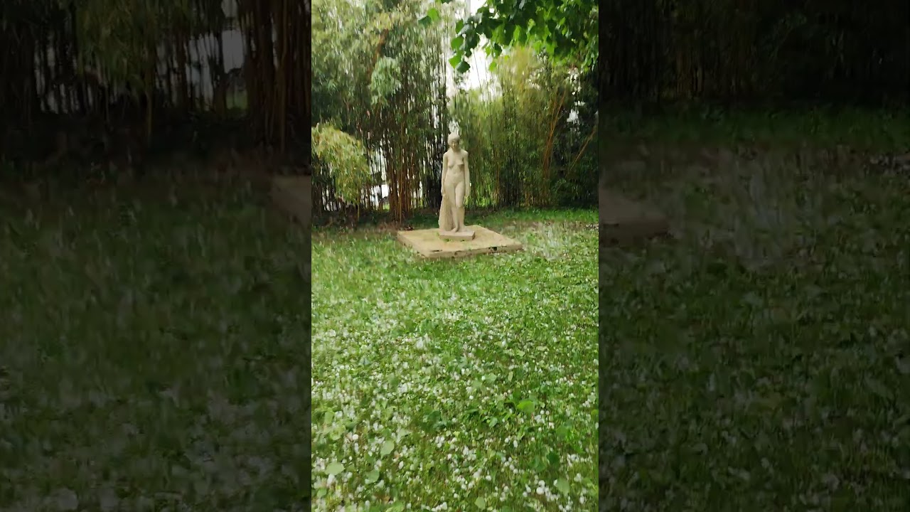 Musée Paul-Belmondo /  Paul-Belmondo Museum | S3 | #40🎭