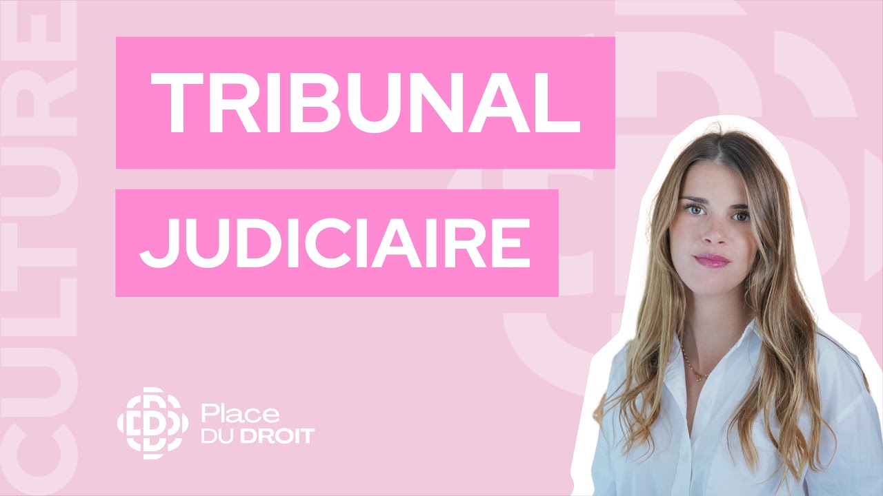 Comment le TRIBUNAL JUDICIAIRE façonne-t-il la justice en France ?