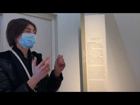 Visite du musée du Vin de Champagne d'Epernay