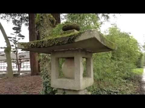 Île de Versailles Nantes en hiver
