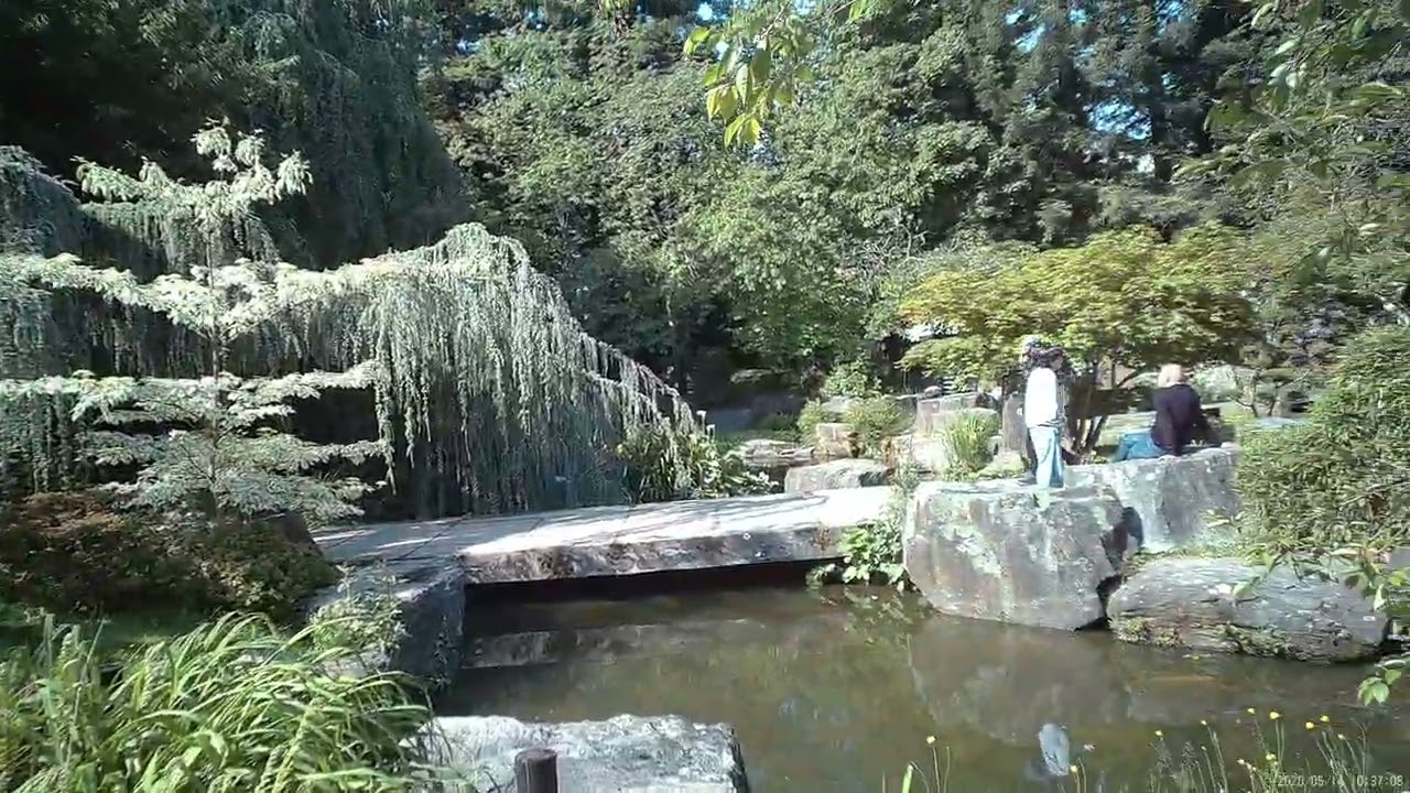 Nantes   île de Versailles Jardin Japonais 14 05 2025