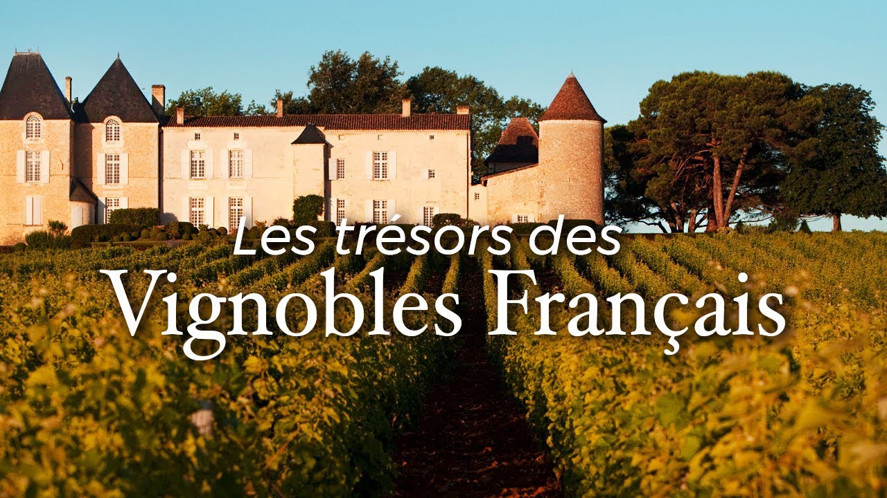 Les trésors des vignobles français | Documentaire