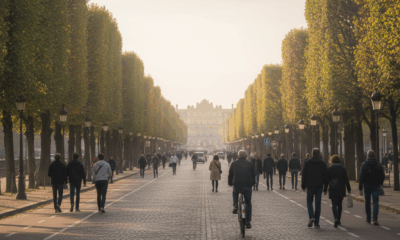 découvrez l'avenue de versailles, une promenade historique qui relie paris à la cité du roi soleil, alliant charme urbain et patrimoine royal.