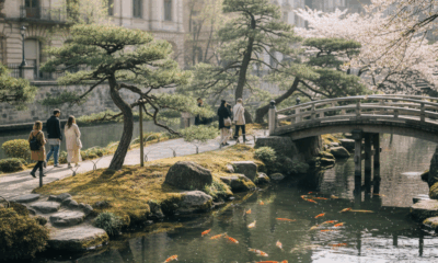 découvrez l'île de versailles, un jardin japonais paisible niché au cœur de la ville, idéal pour une escapade zen et authentique en pleine nature urbaine.