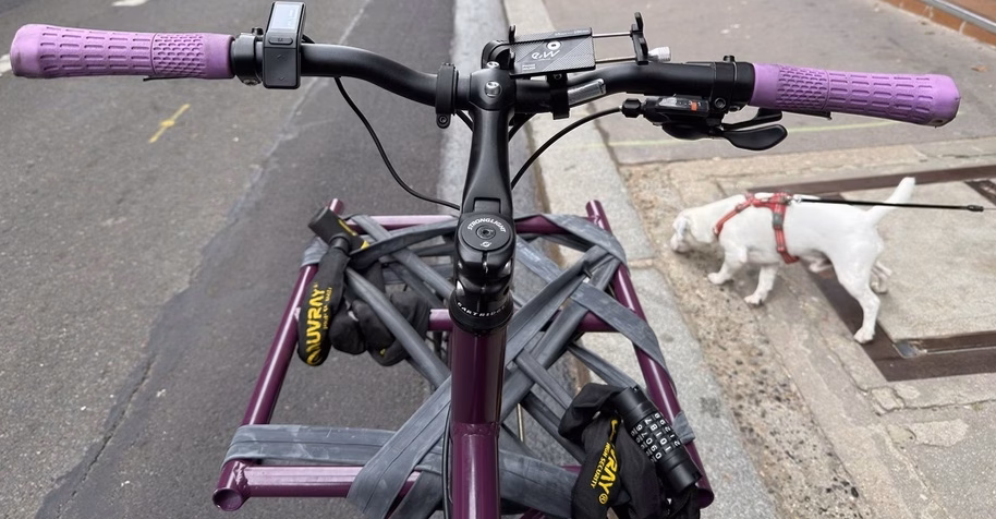 À vélo avec son chat d&rsquo;intérieur : l&rsquo;incroyable périple de 400 km qui surprend tout le monde à travers ses vidéos